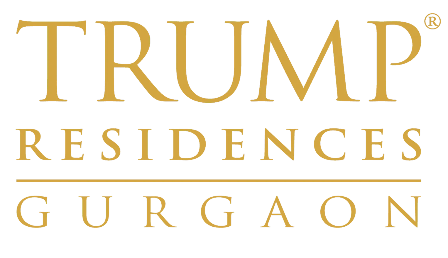 project logo